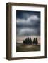 Olive Groves and Vineyards of the Monticiano Area-Terry Eggers-Framed Photographic Print