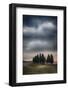 Olive Groves and Vineyards of the Monticiano Area-Terry Eggers-Framed Photographic Print