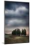 Olive Groves and Vineyards of the Monticiano Area-Terry Eggers-Mounted Photographic Print