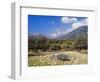 Olive Groves, Cephalonia, Ionian Islands, Greece, Europe-Jonathan Hodson-Framed Photographic Print