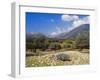Olive Groves, Cephalonia, Ionian Islands, Greece, Europe-Jonathan Hodson-Framed Photographic Print