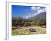 Olive Groves, Cephalonia, Ionian Islands, Greece, Europe-Jonathan Hodson-Framed Photographic Print