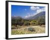 Olive Groves, Cephalonia, Ionian Islands, Greece, Europe-Jonathan Hodson-Framed Photographic Print