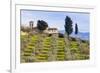 Olive Groves, Cercina, Firenze Province, Firenze, Tuscany, Italy-Nico Tondini-Framed Photographic Print