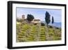 Olive Groves, Cercina, Firenze Province, Firenze, Tuscany, Italy-Nico Tondini-Framed Photographic Print