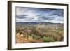 Olive Groves Surround Barca D' Alva, Near the Douro River and Agueda River, Alto Douro, Portugal-Mauricio Abreu-Framed Photographic Print