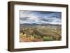 Olive Groves Surround Barca D' Alva, Near the Douro River and Agueda River, Alto Douro, Portugal-Mauricio Abreu-Framed Photographic Print