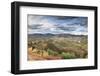 Olive Groves Surround Barca D' Alva, Near the Douro River and Agueda River, Alto Douro, Portugal-Mauricio Abreu-Framed Photographic Print