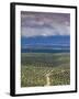 Olive Groves, Ubeda, Spain-Walter Bibikow-Framed Premium Photographic Print