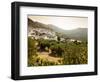 Olive Groves, Zuheros, Near Cordoba, Andalucia, Spain, Europe-Giles Bracher-Framed Photographic Print