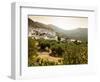 Olive Groves, Zuheros, Near Cordoba, Andalucia, Spain, Europe-Giles Bracher-Framed Photographic Print