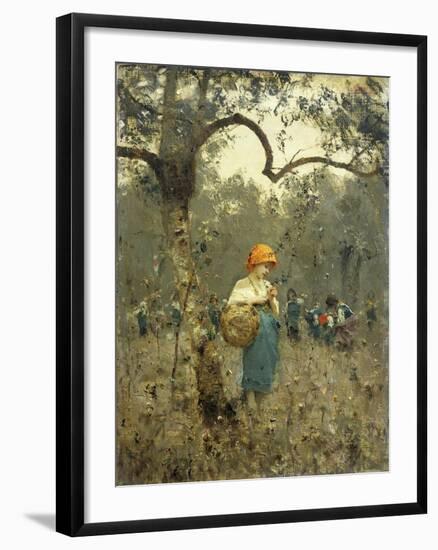 Olive Harvest, 1873-Francesco Paolo Michetti-Framed Giclee Print