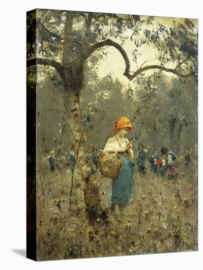 Olive Harvest, 1873-Francesco Paolo Michetti-Stretched Canvas