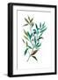 Olive I-Asia Jensen-Framed Art Print