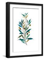 Olive II-Asia Jensen-Framed Art Print