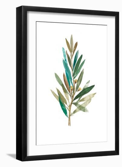 Olive III-Asia Jensen-Framed Art Print