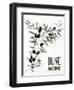 Olive Nere-Linda Baliko-Framed Art Print