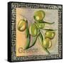 Olive Oil 4-Megan Aroon Duncanson-Framed Stretched Canvas