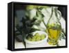 Olive Oil and Green Olives-Christine Gillé-Framed Stretched Canvas