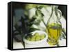 Olive Oil and Green Olives-Christine Gillé-Framed Stretched Canvas