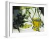 Olive Oil and Green Olives-Christine Gillé-Framed Photographic Print