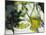 Olive Oil and Green Olives-Christine Gillé-Mounted Photographic Print