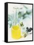 Olive Oil in a Carafe-Karlheinz Wilker-Framed Stretched Canvas