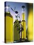 Olive Oil in Bottles-Luzia Ellert-Stretched Canvas