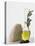 Olive Oil in Carafe, Olives and Piece of White Bread-null-Stretched Canvas