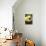 Olive Oil in Small Bowl with Black Olives-null-Stretched Canvas displayed on a wall