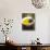 Olive Oil in Small Bowl with Black Olives-null-Stretched Canvas displayed on a wall