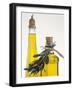 Olive Oil in Two Bottles-null-Framed Photographic Print