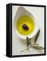 Olive Oil with Olive in Bowl, Olive Branch Beside It-null-Framed Stretched Canvas