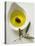 Olive Oil with Olive in Bowl, Olive Branch Beside It-null-Stretched Canvas
