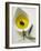 Olive Oil with Olive in Bowl, Olive Branch Beside It-null-Framed Photographic Print