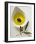 Olive Oil with Olive in Bowl, Olive Branch Beside It-null-Framed Photographic Print