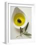 Olive Oil with Olive in Bowl, Olive Branch Beside It-null-Framed Photographic Print