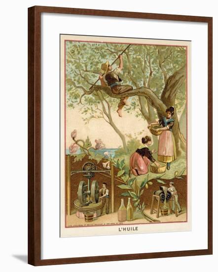 Olive Oil-null-Framed Giclee Print