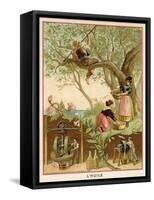 Olive Oil-null-Framed Stretched Canvas