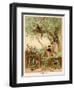 Olive Oil-null-Framed Giclee Print