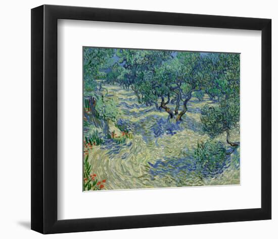 Olive Orchard, 1889-Vincent van Gogh-Framed Art Print