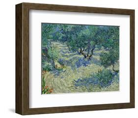 Olive Orchard, 1889-Vincent van Gogh-Framed Art Print