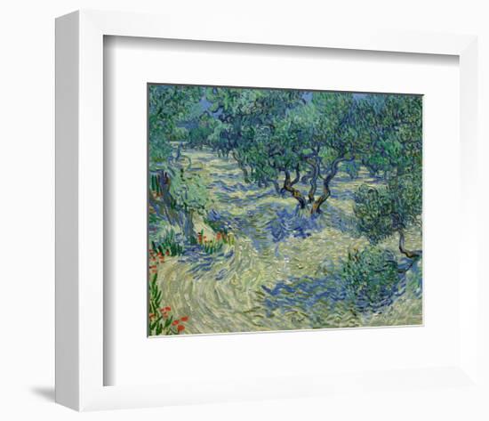 Olive Orchard, 1889-Vincent van Gogh-Framed Art Print