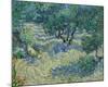 Olive Orchard, 1889-Vincent van Gogh-Mounted Art Print