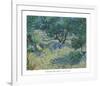 Olive Orchard, 1889-Vincent van Gogh-Framed Art Print