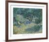 Olive Orchard, 1889-Vincent van Gogh-Framed Art Print