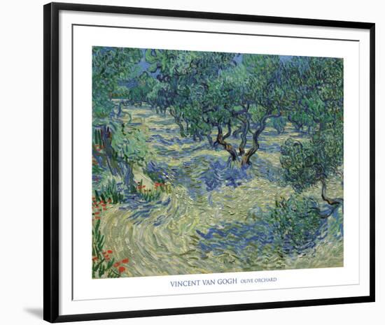 Olive Orchard, 1889-Vincent van Gogh-Framed Art Print