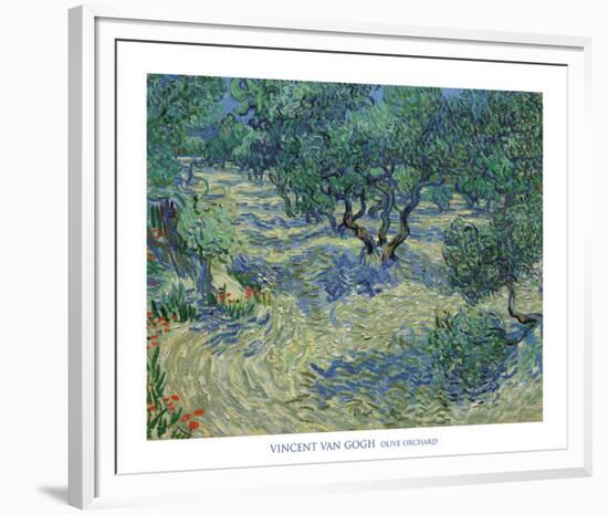 Olive Orchard, 1889-Vincent van Gogh-Framed Art Print