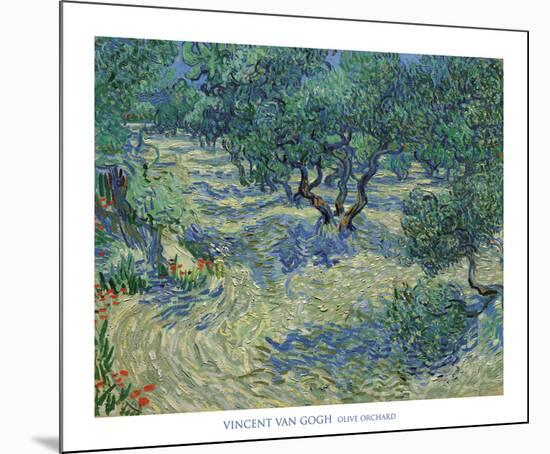 Olive Orchard, 1889-Vincent van Gogh-Mounted Art Print