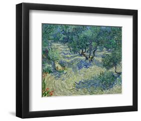 Olive Orchard, 1889-Vincent van Gogh-Framed Giclee Print